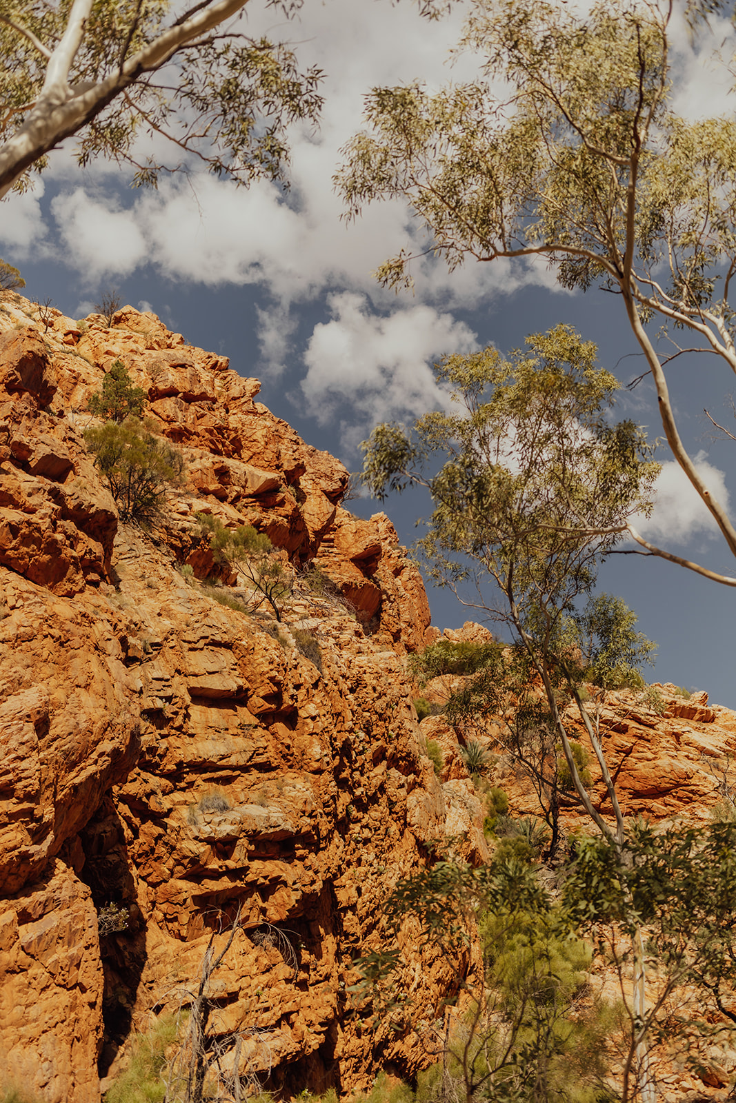 Why Strength Training Makes You a Better Trail Runner