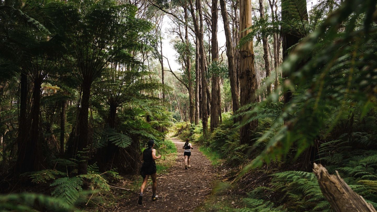 Female trail runner on forested trail - The Runnable Trap pacing strategy blog
