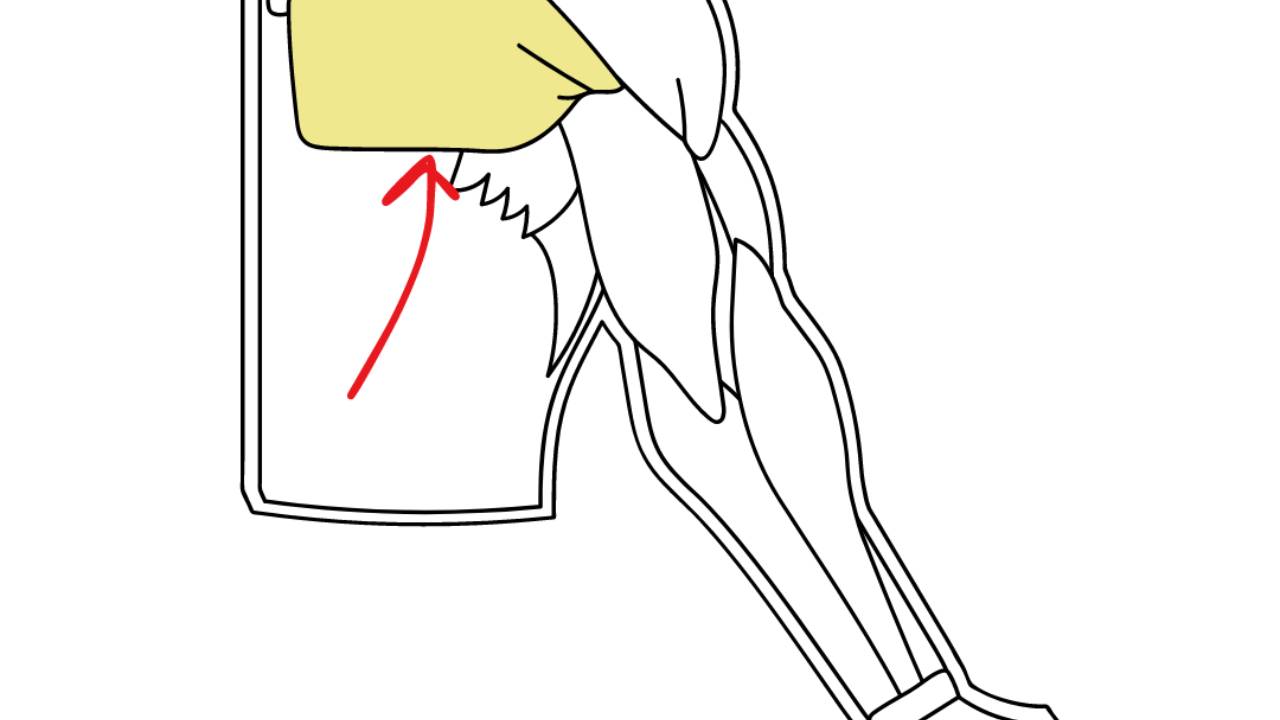 Are your lower pecs sad?