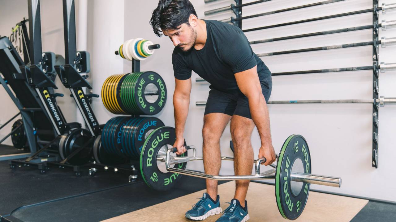 Biomechanics Bundles