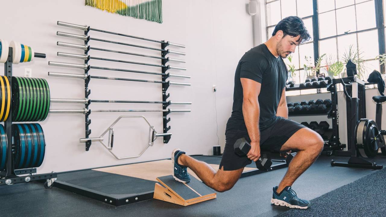 Learn Biomechanics The Quads