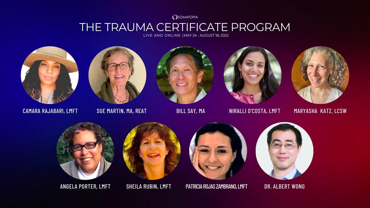 The Somatic Skills Trauma Certificate Program