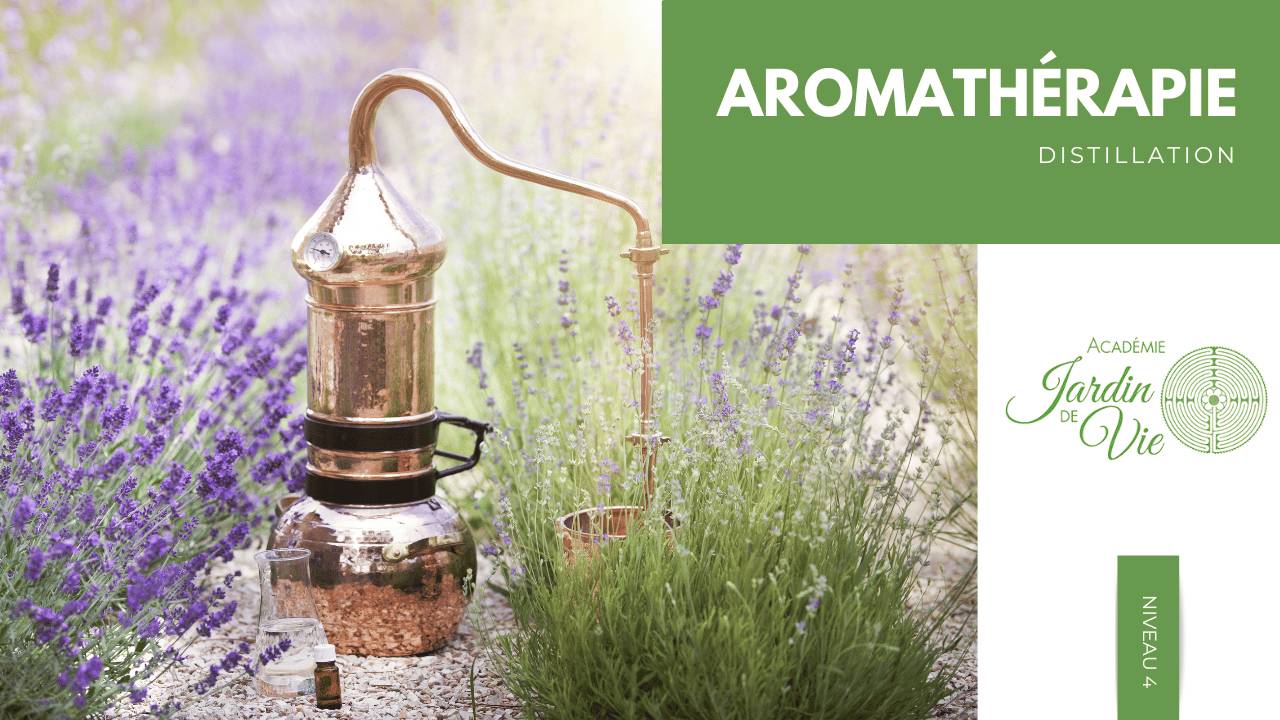 Fiole D'Aromathérapie Pour Spa - Senteur Lavande - Compatible Jets D'Air