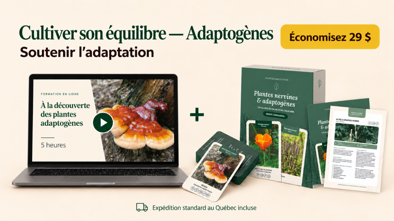 Coffret Adaptogènes comprenant une formation en ligne, un jeu illustré de 52 cartes et un ebook compagnon.