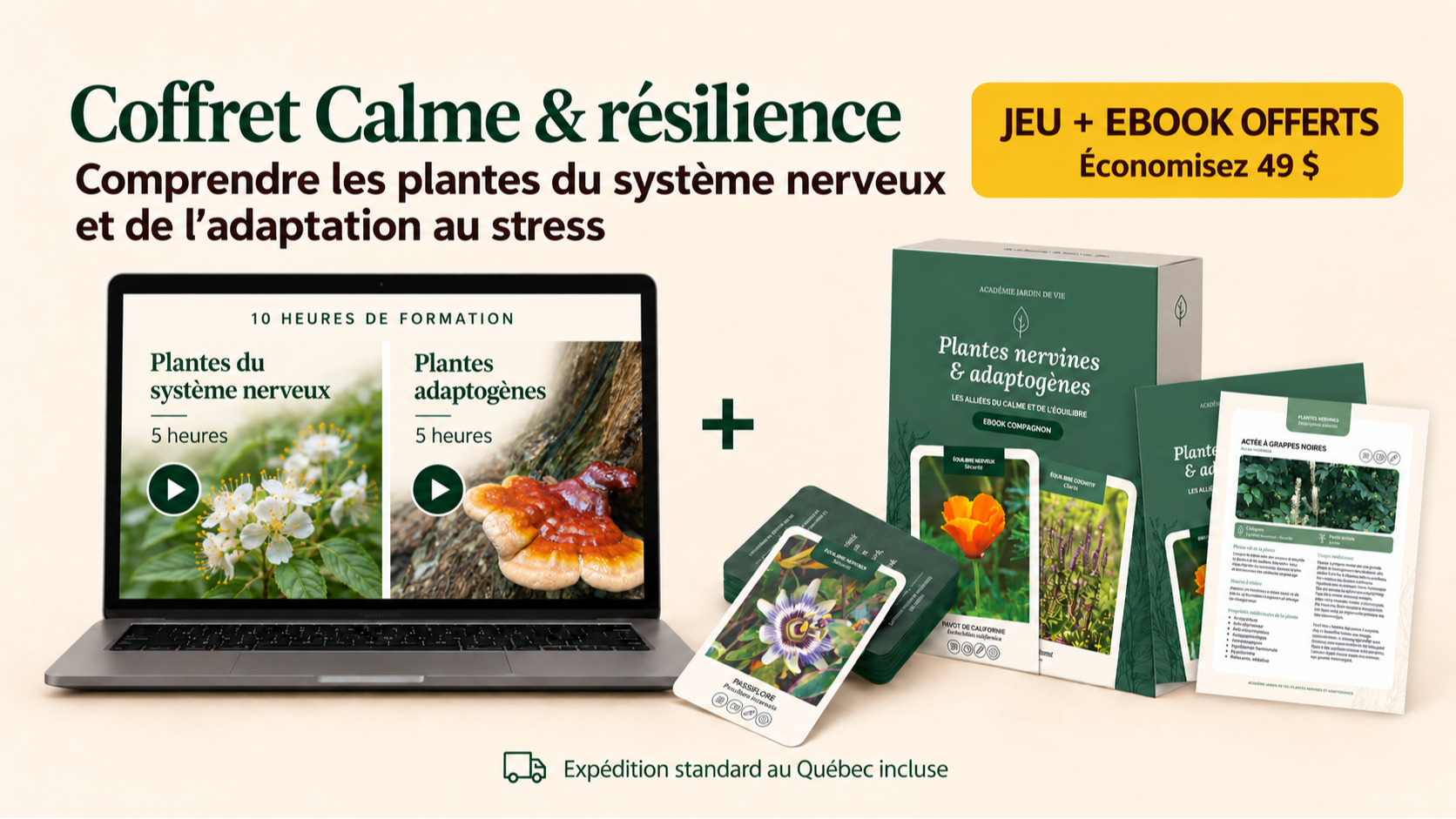 Coffret Calme et résilience comprenant deux formations en ligne, un jeu de 52 cartes et un ebook illustré