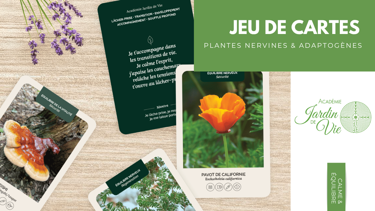 Jeu de cartes Plantes nervines et adaptogènes