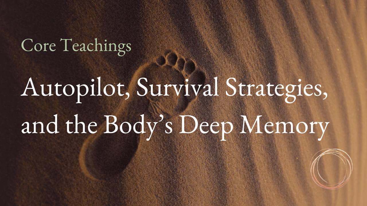 Autopilot, Survival Strategies, and the Body's Deep Memory