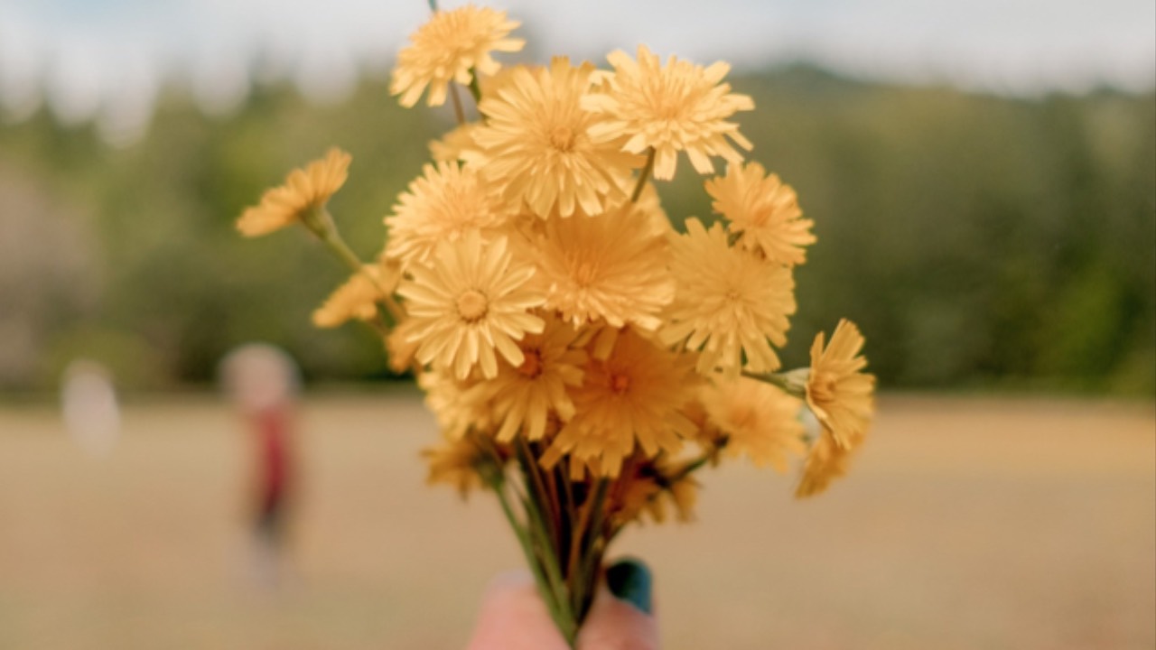 Raise Wildflowers Education