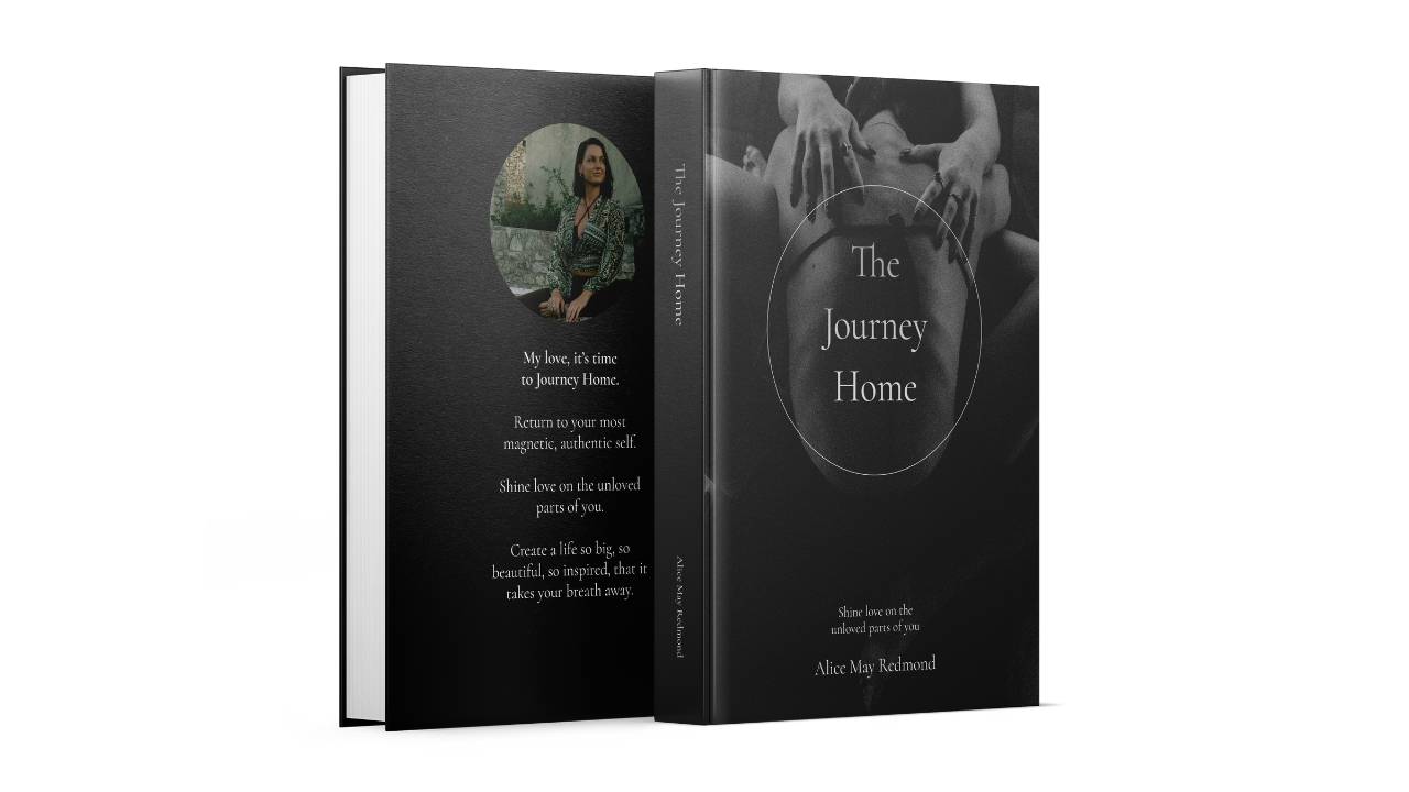 The Journey Home Book