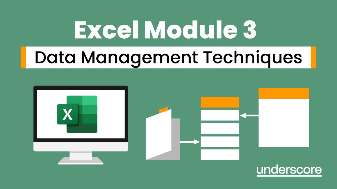 Course Excel Module 3 Data Management Techniques