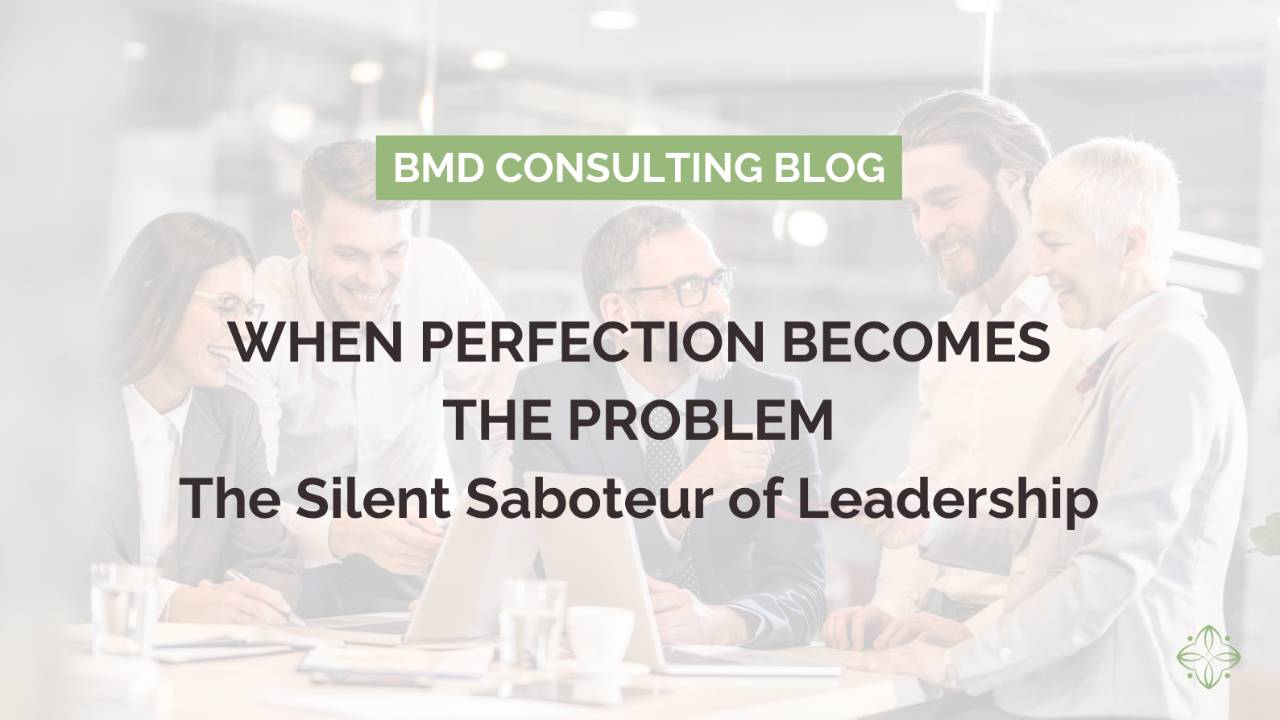 When Perfection Becomes the Problem: The Silent Saboteur of Leadership