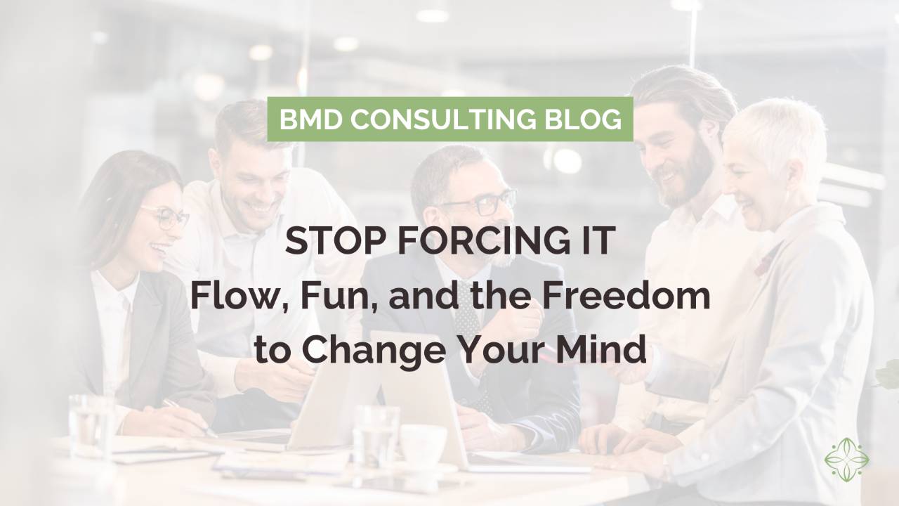 Stop Forcing It: Flow, Fun, and the Freedom to Change Your Mind
