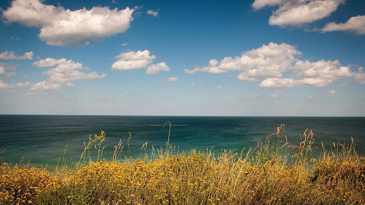 Bright white cumulus clouds drift across a blue sky above a grassy shoreline.