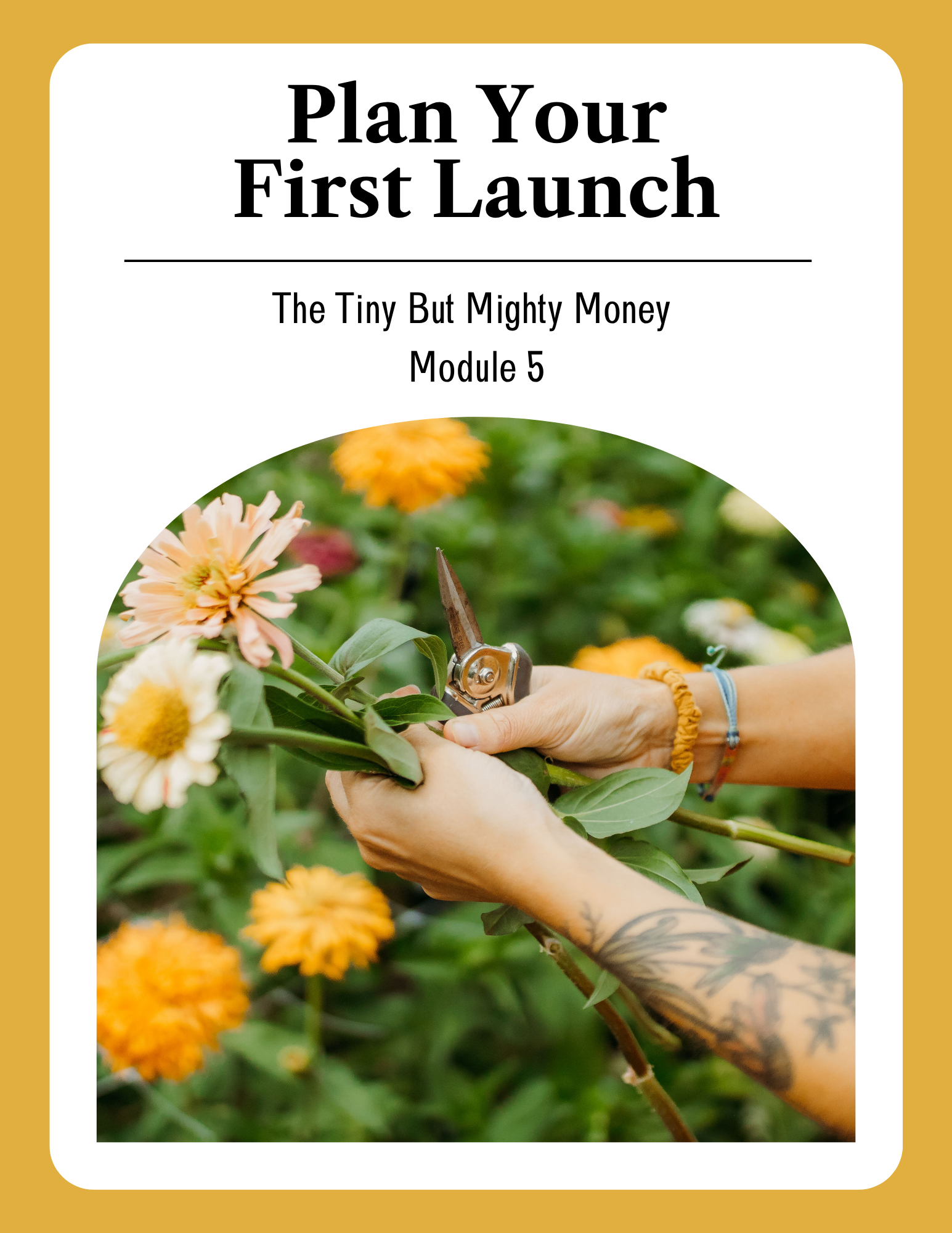Plan Your First Launch guide cover
