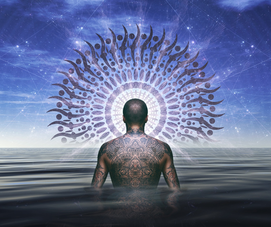 Seed of Insight