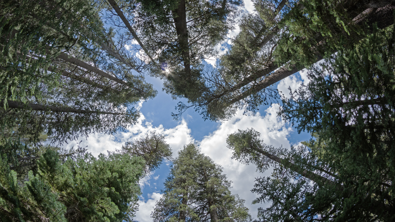 Looking up to find awareness