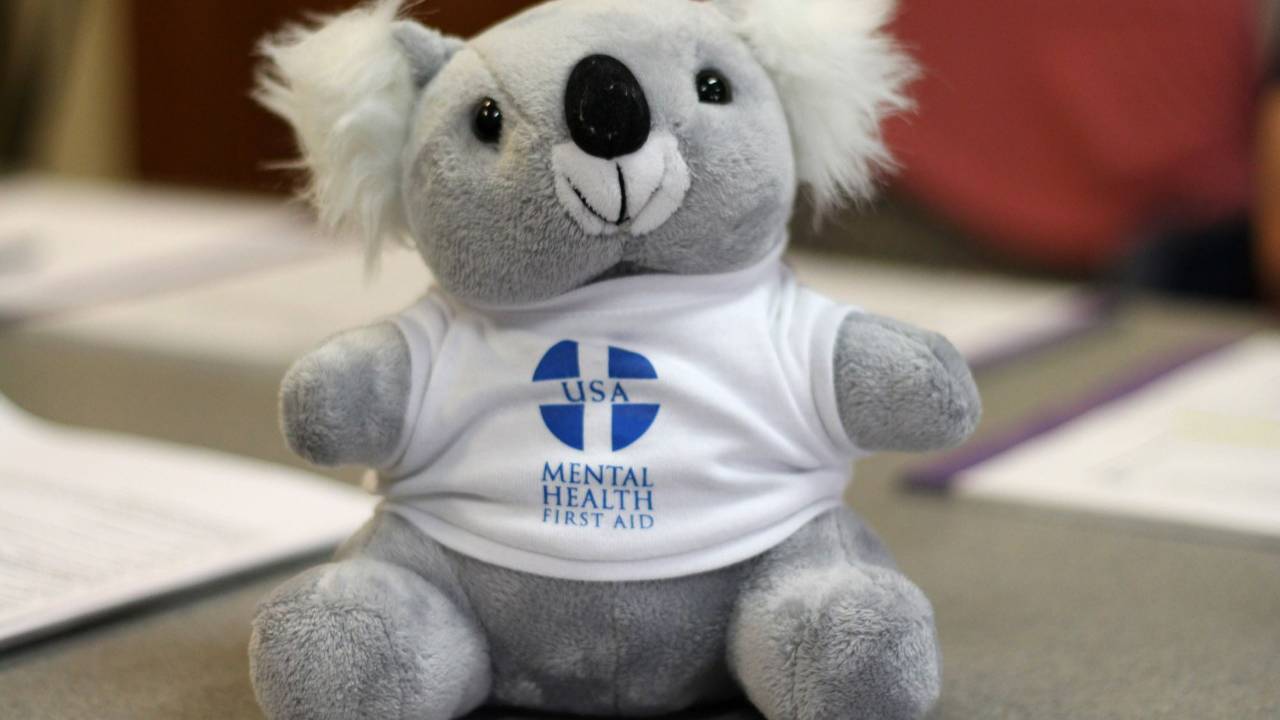 Algee Mental Health First Aid Part 1 - What is it?