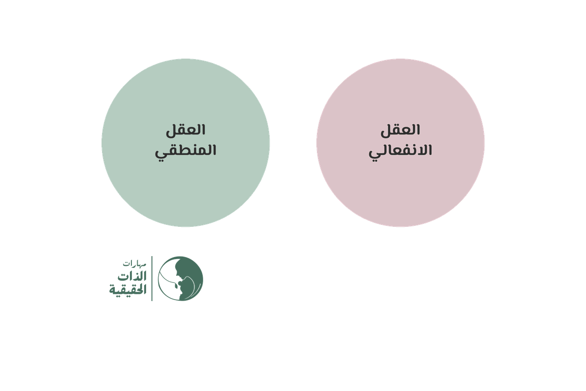 دائرتان: العقل الانفعالي بالوردي والعقل المنطقي بالأخضر. تكبر إحداهما فتبهت الأخرى وتصير رمادية، ثم تتقاربان حتى تتداخلا، ويظهر في مكان التقائهما لون ذهبي باسم العقل الحكيم