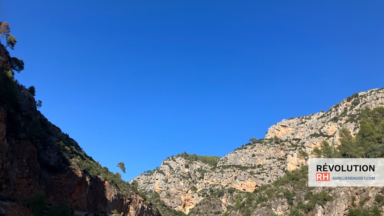 Question Piege Ni Oui Ni Non