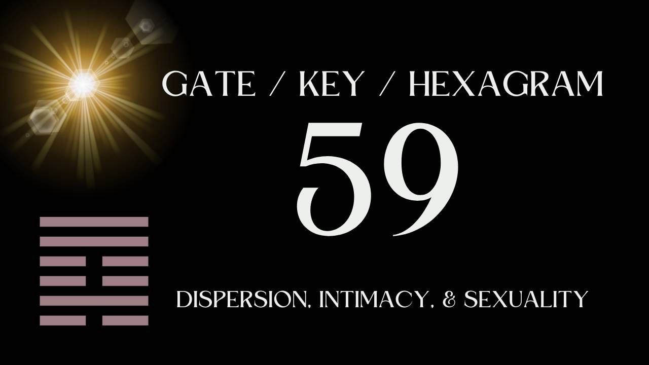 b3b0686-e2b2-f0e-cd53-
