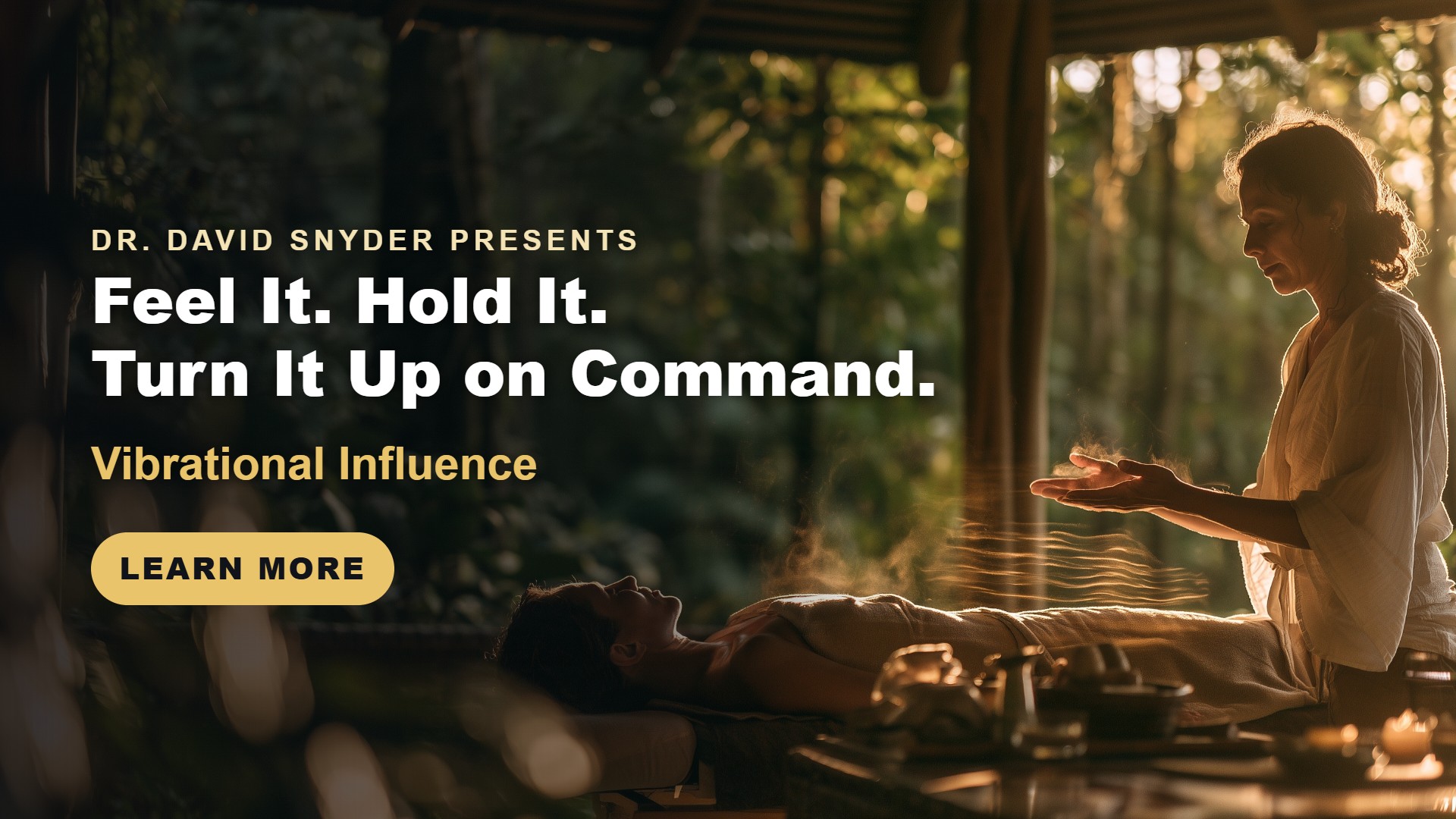 Vibrational Influence Master Class: Costa Rica by Dr. David Snyder