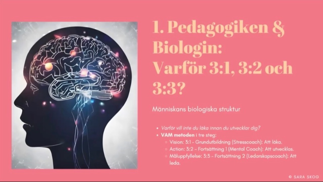 Akademiprogrammet utbildar dig att se det andra missar