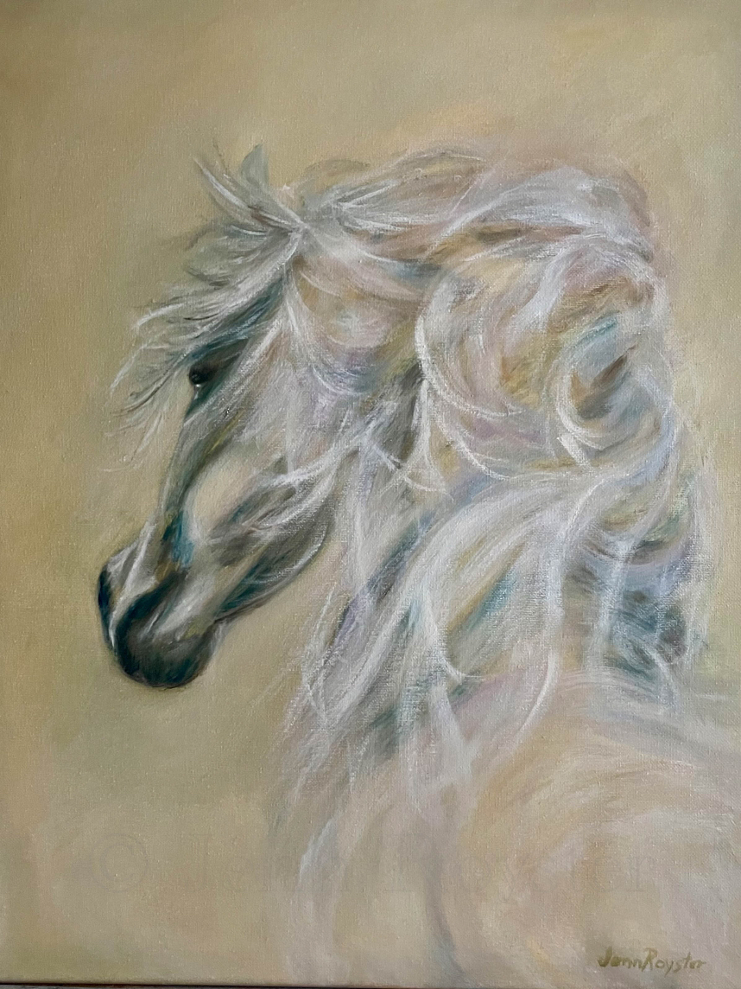 White horse portrait soft tones, 20x16, oil on canvas, expressive impressionist equine painting by Jenn Royster