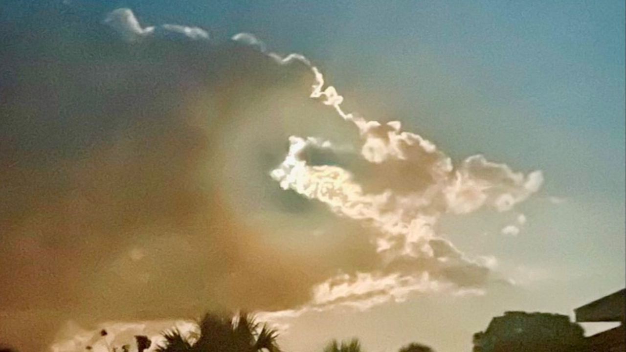 Alligator shaped story skies coastal Florida | photo credit: JennRoyster.art
