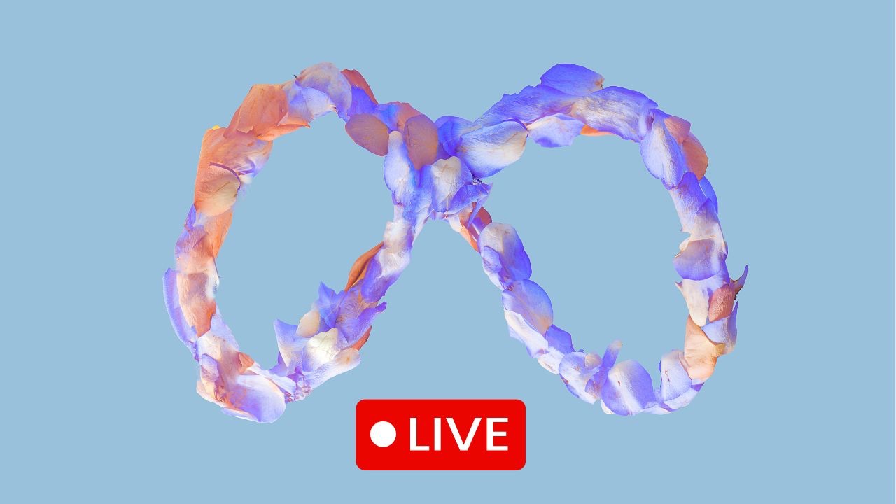 META LOGO with LIVE widget