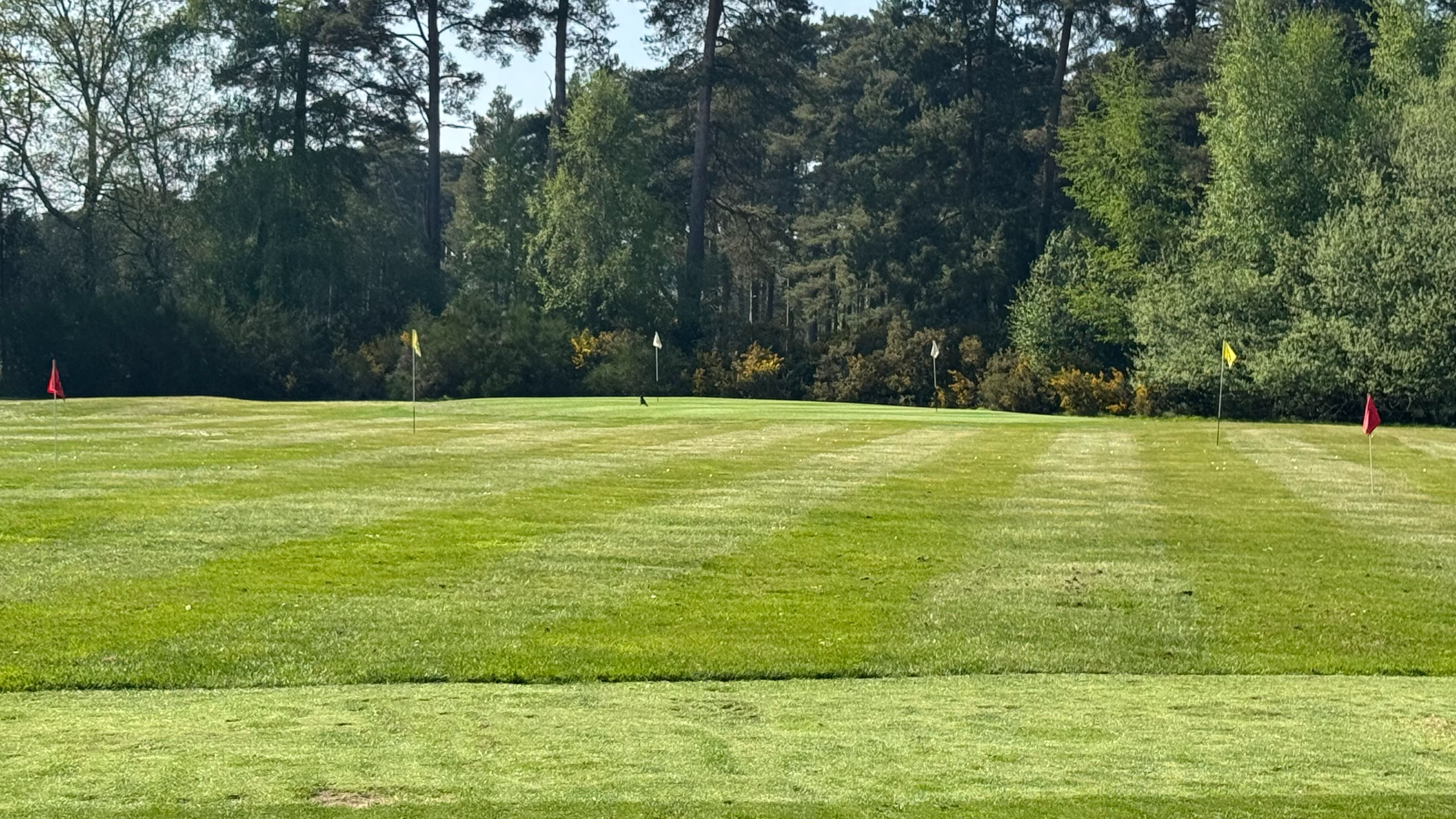 A picture of the golf swing studio and teaching facility at Blacknest Golf Club and Adam Harnett Golf.