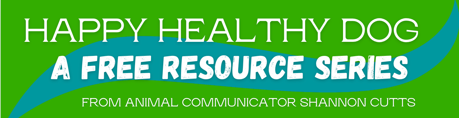 Free tools from animal communicator Shannon Cutts
