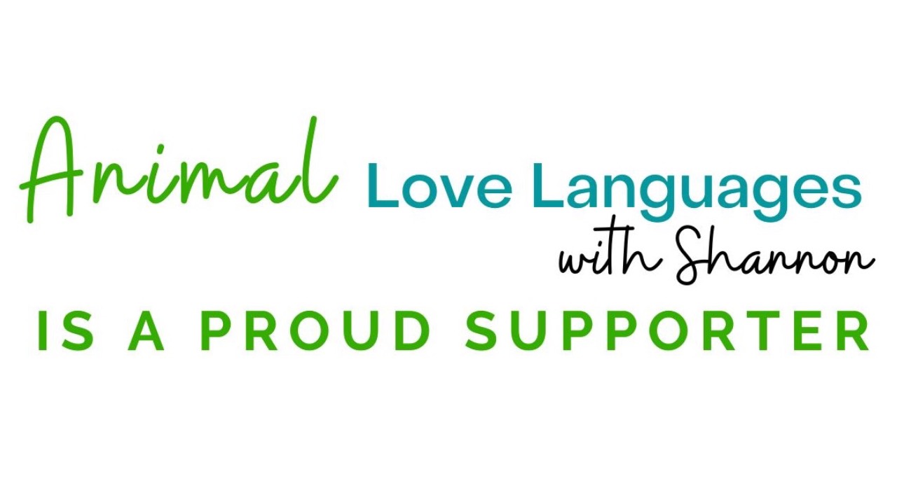 We Support