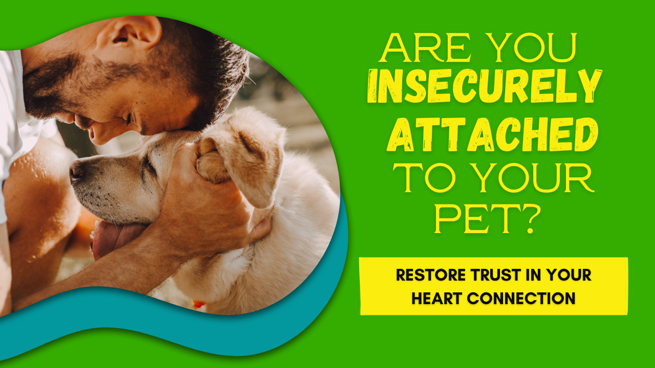 Happy Healthy Dog insecure attachment