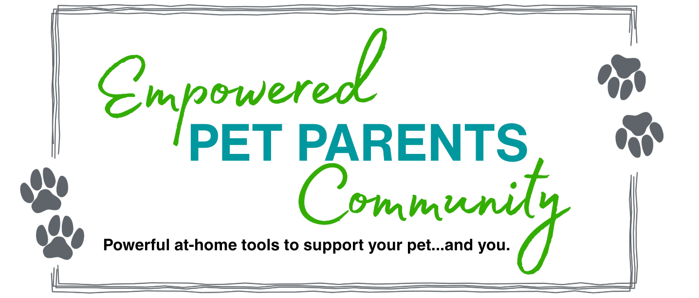 Intuitive Animal Communication Adventure with Shannon