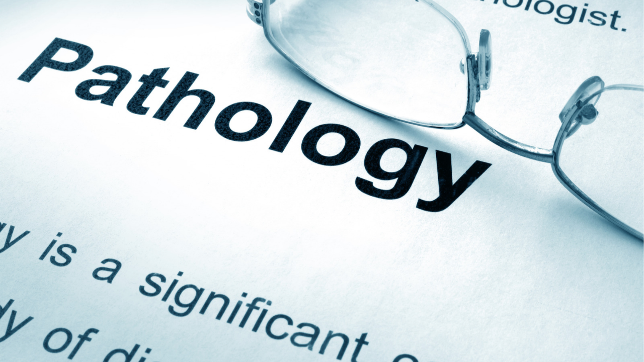 general pathology review, types of necrosis chart, cell injury and adaptation, acute vs chronic inflammation, pathology board review