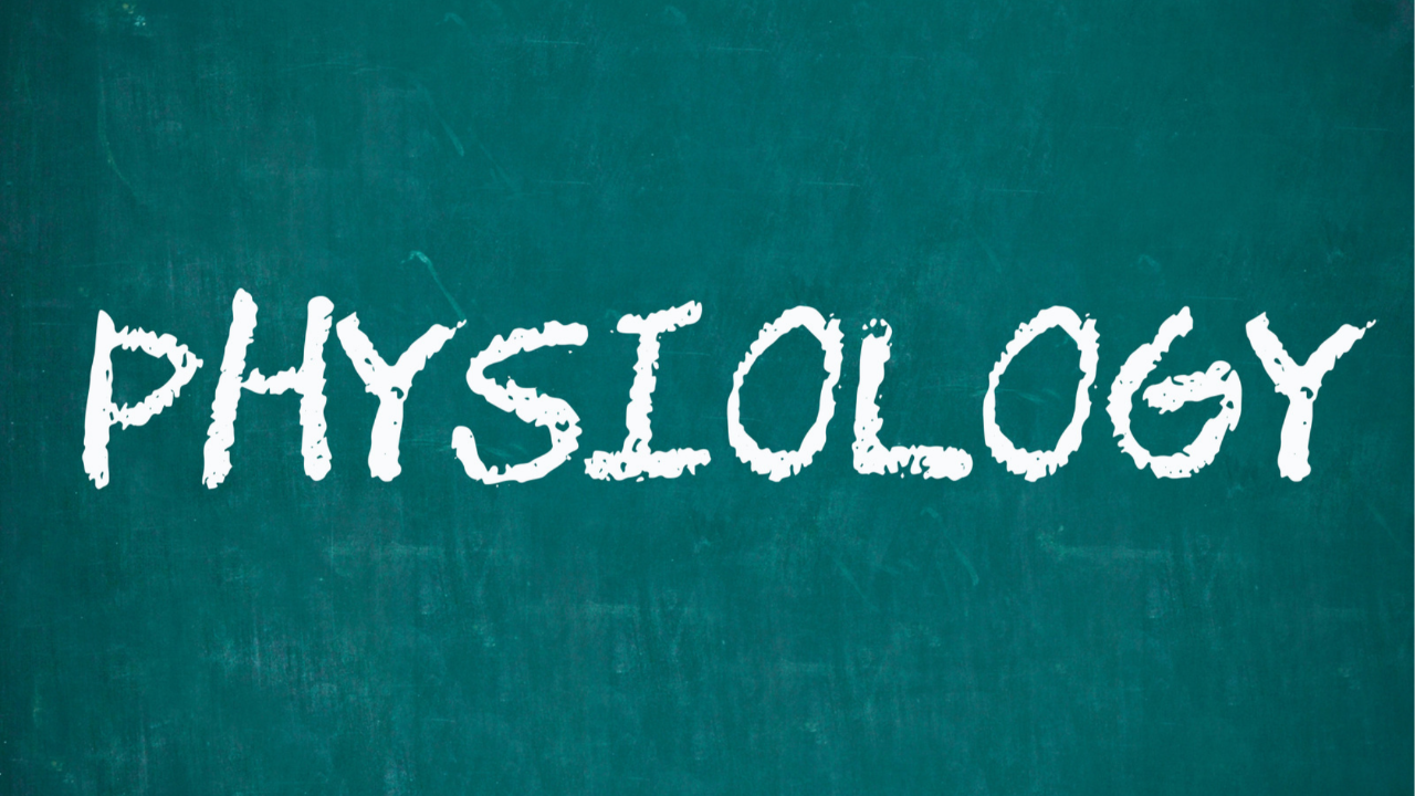 NBCE Part I physiology