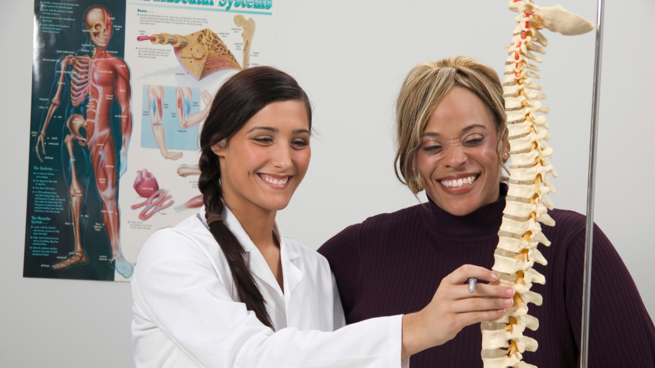 how to study for NBCE SPEC chiropractic exam