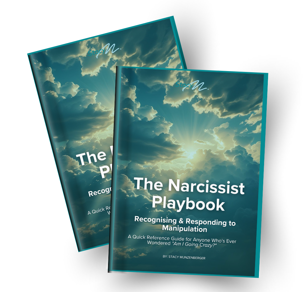 the narcissist playbook - by Stacy Munzenberger