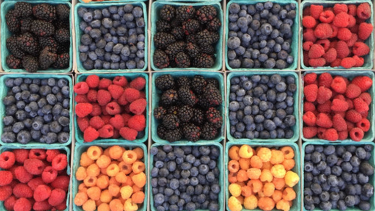 Fruit in a basket