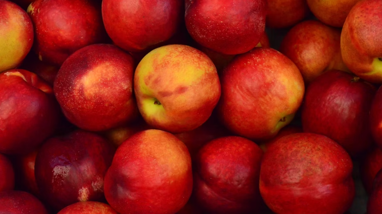 apples