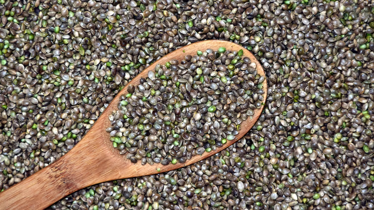 Wooden spoon heaped with hemp seeds on a background of more seeds. Brown and green hues dominate the image, creating a natural feel.