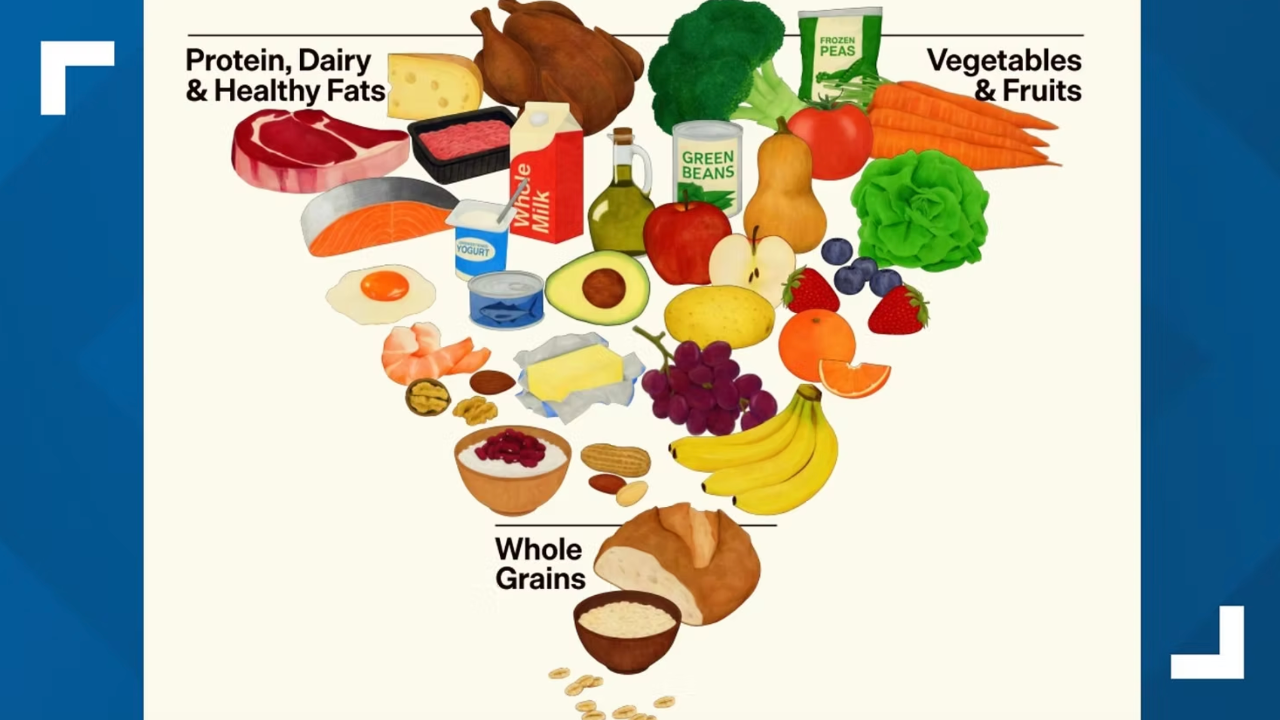 Food Pyramid