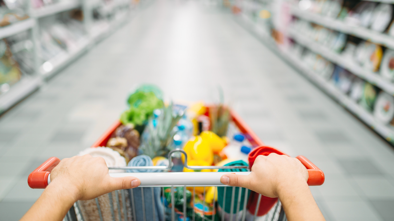 GROCERY SHOPPING CART
