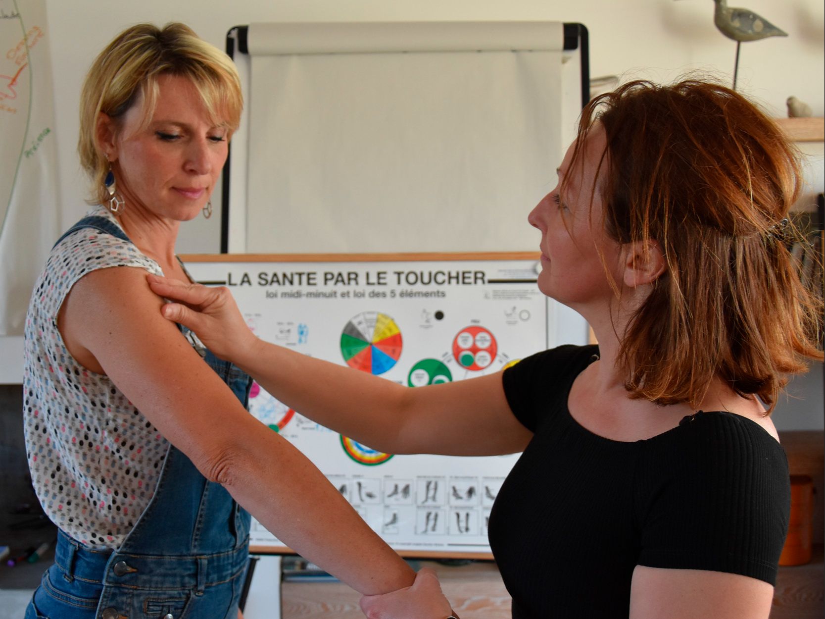 Touch for Health Level 1