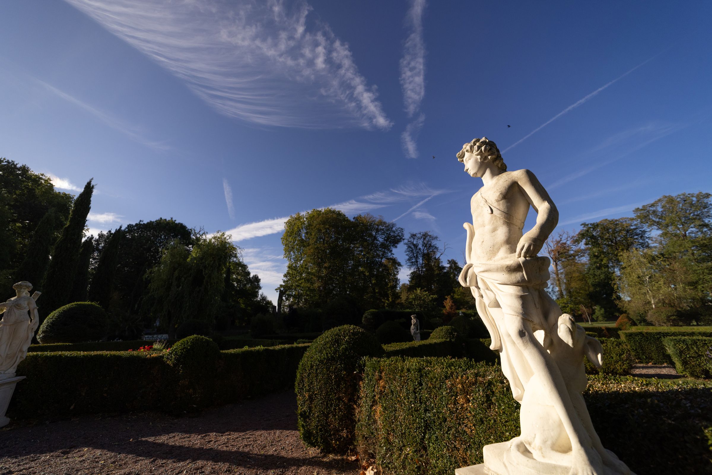 The French gardens