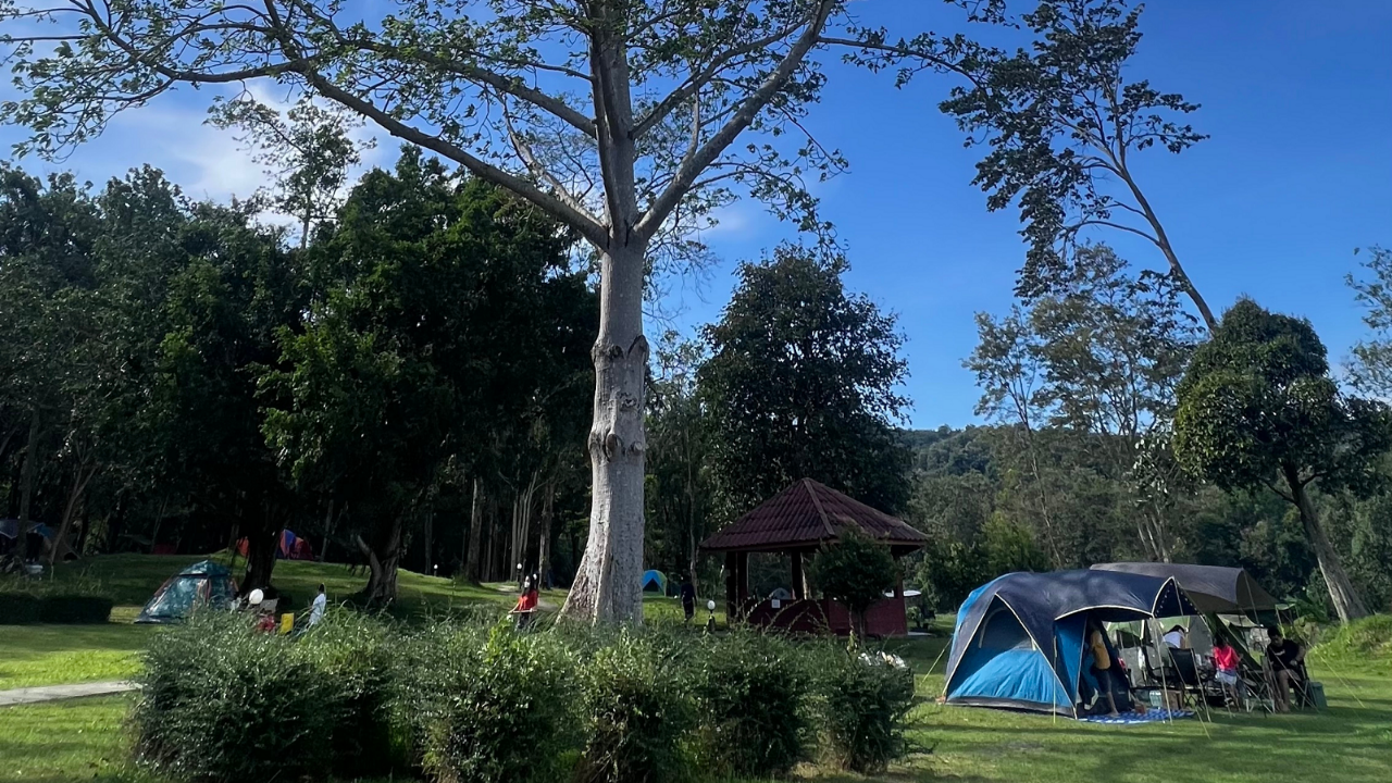 Open campground surrounded by tall green trees with tents in separate places, representing how location, relationship, and structure make experience more navigable in Jacob Goettsche's my K.I.N./G-M.A.P.