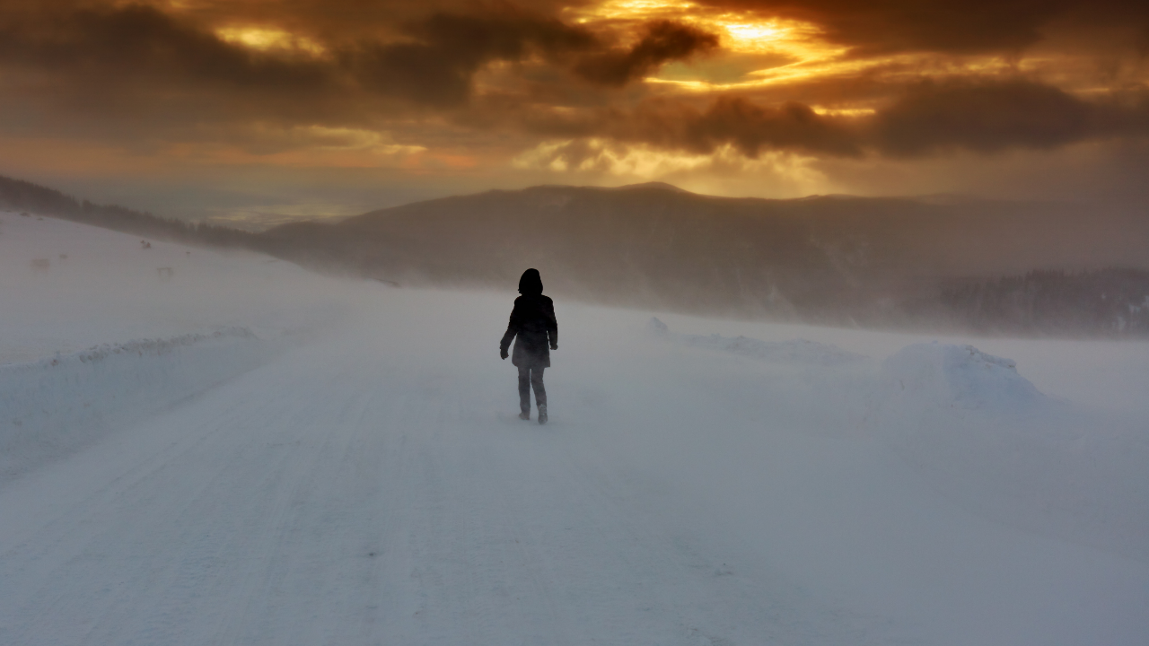 A solitary figure walks through a snow-covered landscape with limited visibility, symbolizing the experience of feeling lost, overwhelmed, and disoriented while searching for clarity, direction, and a way forward through life's complexity.