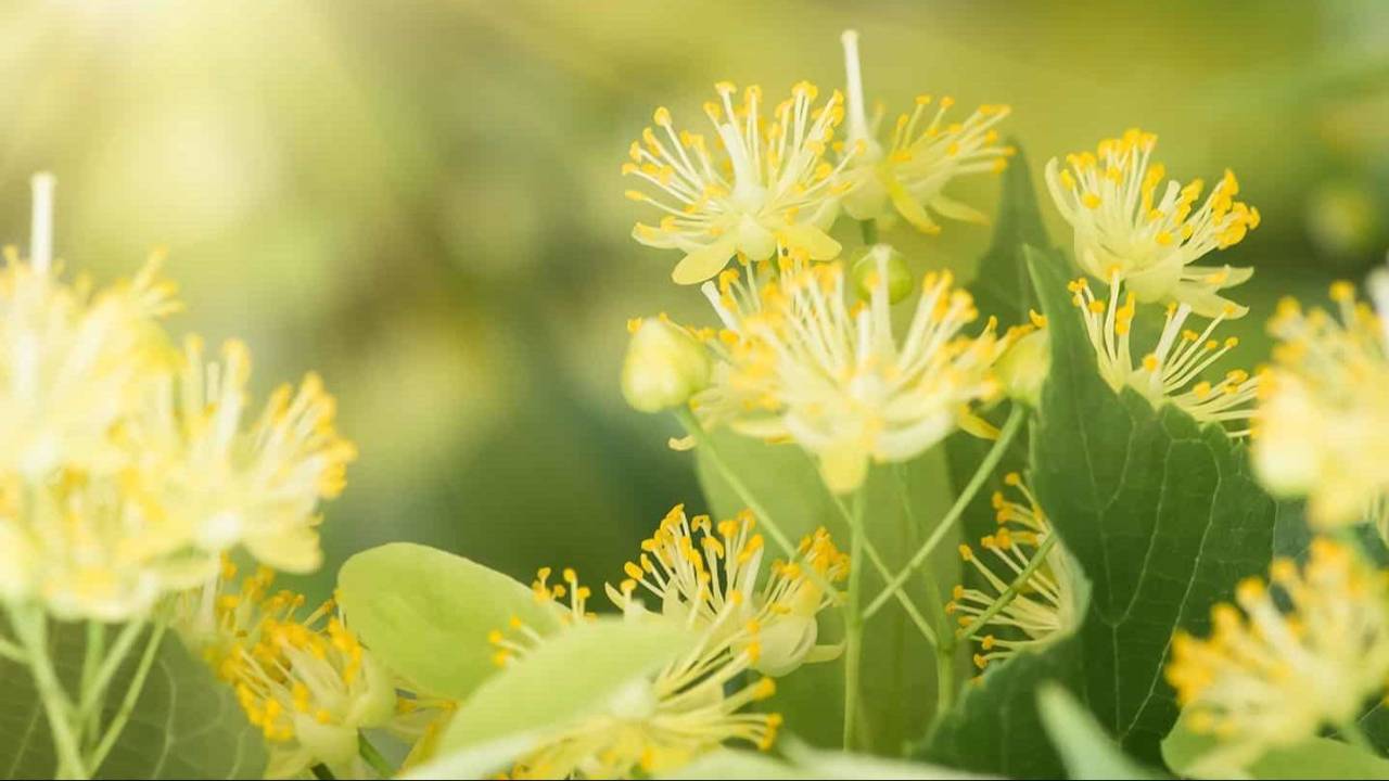 2efe2c2-27a3-43e-eef-