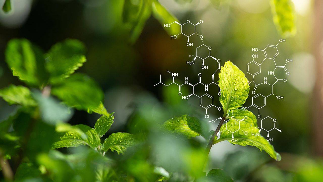 herbal chemistry