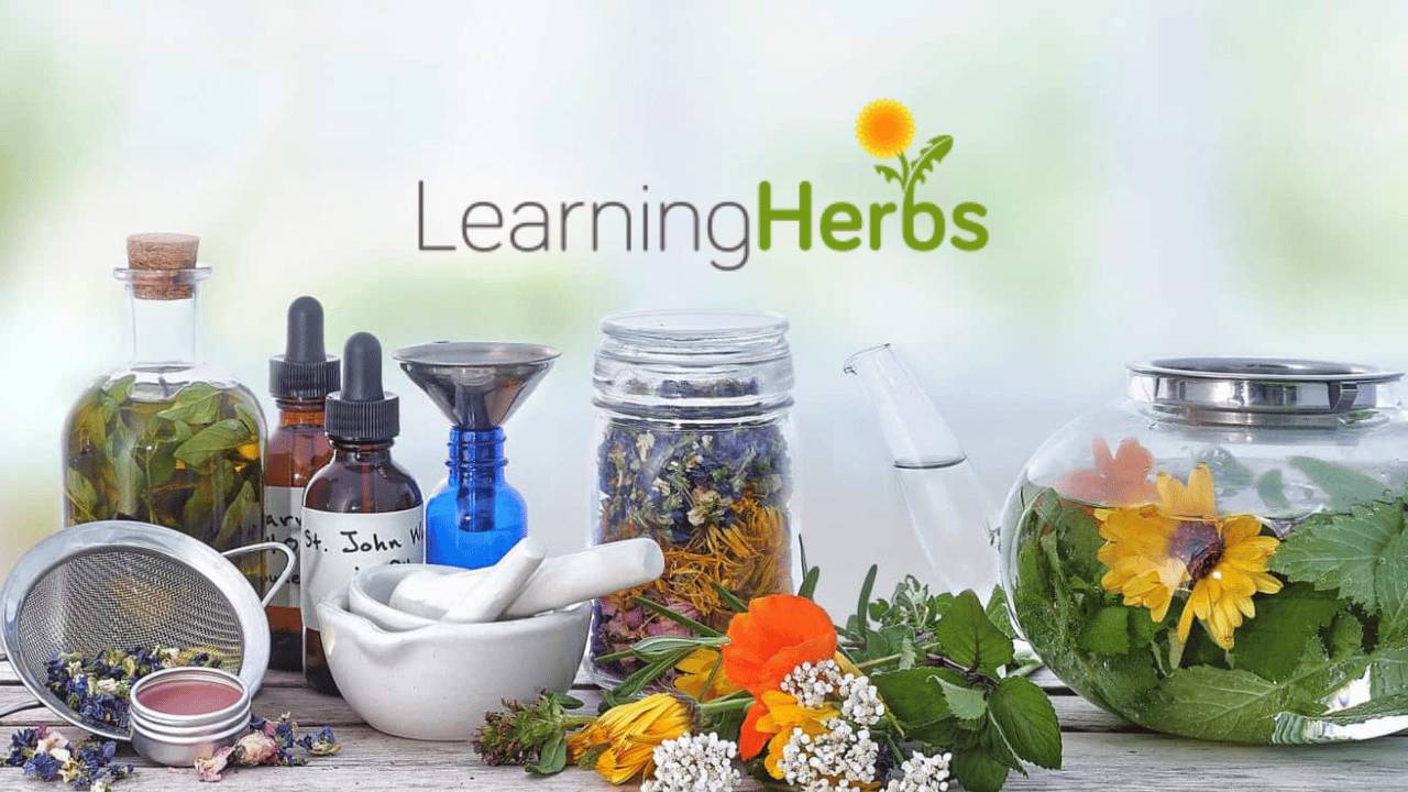 Screenshot or Official Image for learningherbs.com - LearningHerbs: Herbs & Free Home Remedies